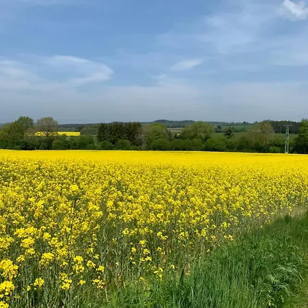 Lejlighed Eifler - Sonnenfels
