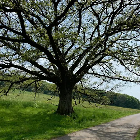 Apartamento Eifler - Sonnenfels Gerolstein